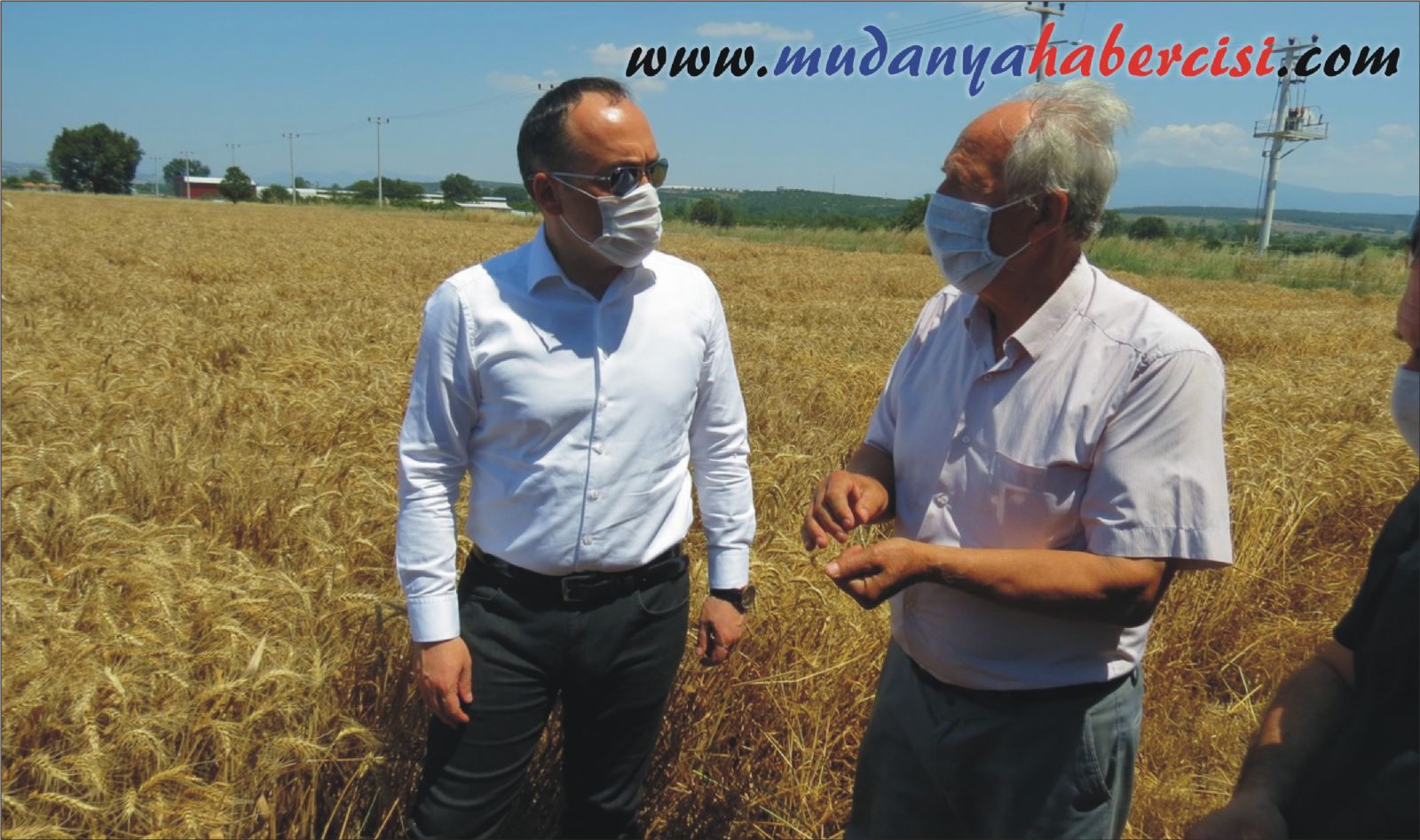 MUDANYA'DA HUBUBAT HASADI BALADI